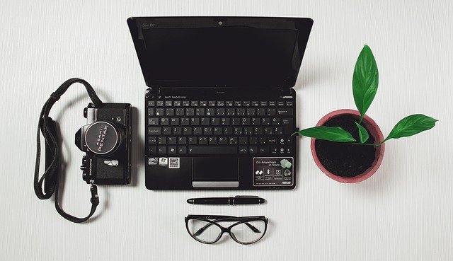 Notebook, fotoaparát a zelená rastlina v kvetináči na stole